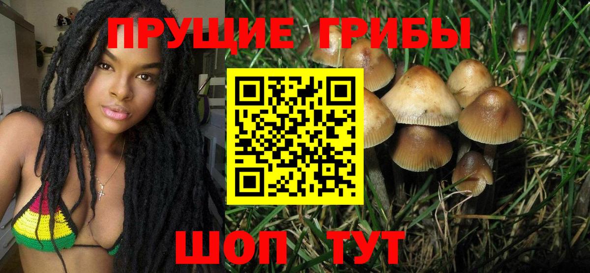Псилоцибиновые грибы мицелий  Вход с VPN  Псилоцибиновые грибы мицелий  Можга 