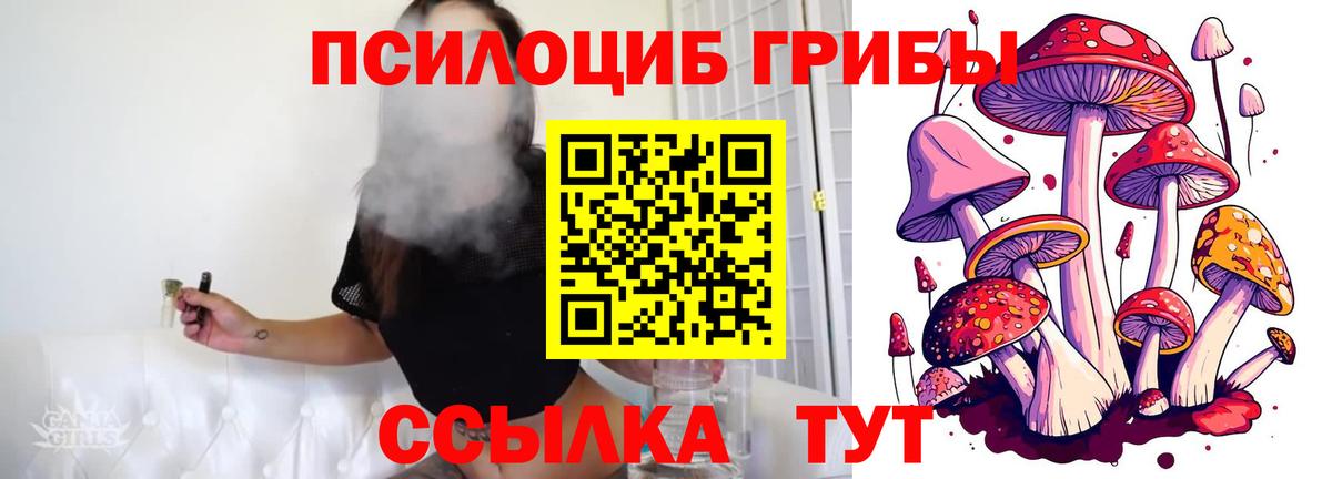 Галлюциногенные грибы Cubensis Можга